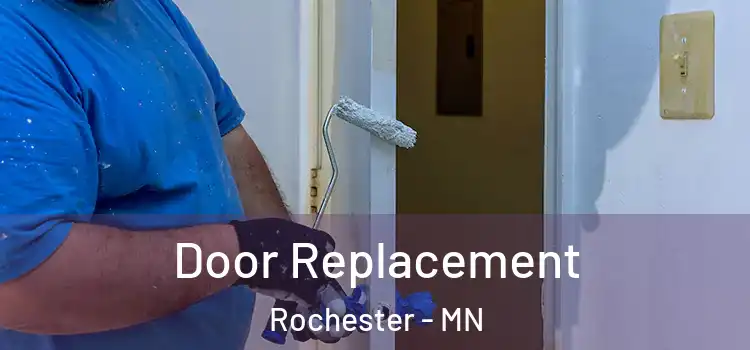  Door Replacement Rochester - MN